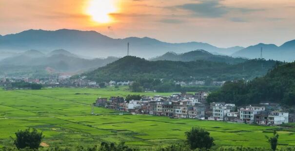 广东省第一批15个省级现代农业产业园建设名单正式发布