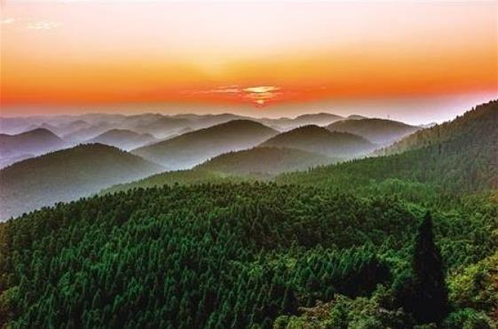 2018年重庆市林业产业综合产值达到1200亿元，同比递增22%左右