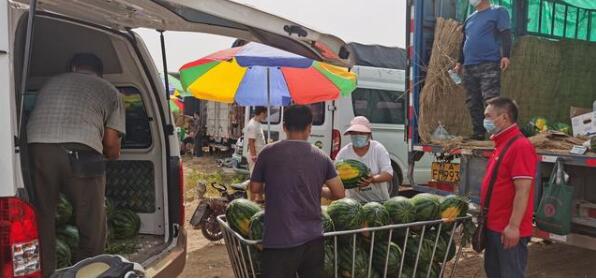 探访新发地：临时区蔬菜交易量稳步上升
