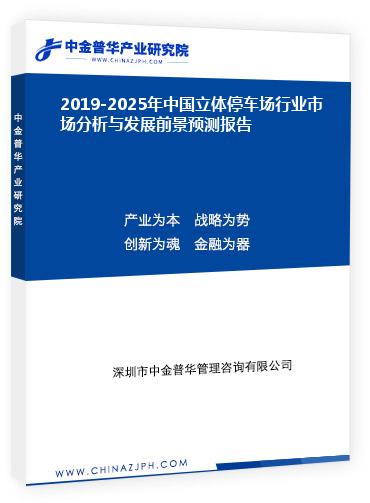 2019-2025年中国立体停车场行业市场分析与发展前景预测报告
