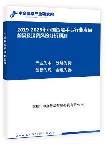 2019-2025年中国智能手表行业发展前景及投资风险分析预测