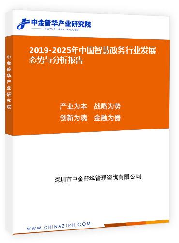 2019-2025年中国智慧政务行业发展态势与分析报告