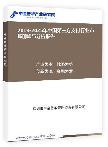 2019-2025年中国第三方支付行业市场前瞻与分析报告