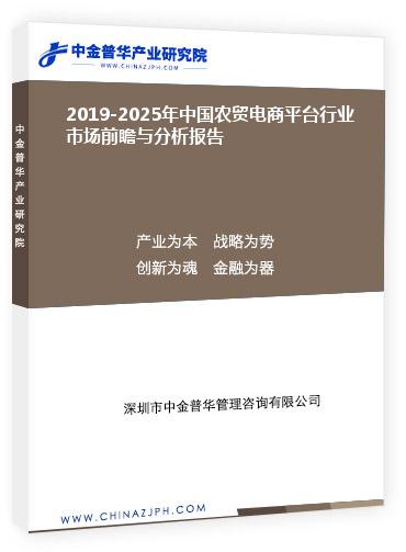 2019-2025年中国农贸电商平台行业市场前瞻与分析报告