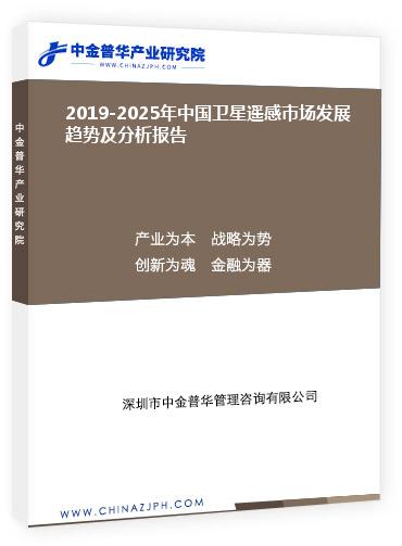 2019-2025年中国卫星遥感市场发展趋势及分析报告