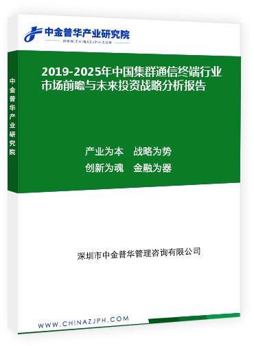 2019-2025年中国集群通信终端行业市场前瞻与未来投资战略分析报告