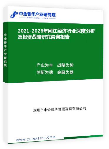 2021-2026年网红经济行业深度分析及投资战略研究咨询报告