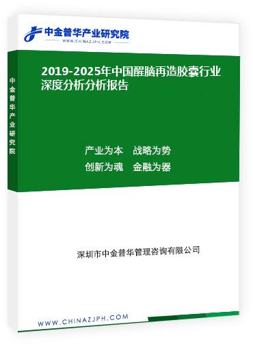 2019-2025年中国醒脑再造胶囊行业深度分析分析报告