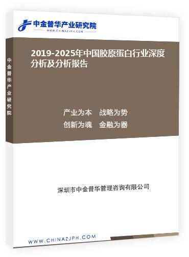 2019-2025年中国胶原蛋白行业深度分析及分析报告