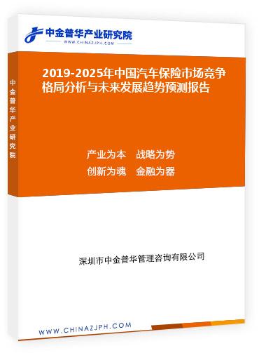 2019-2025年中国汽车保险市场竞争格局分析与未来发展趋势预测报告