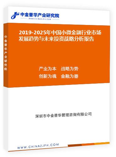 2019-2025年中国小微金融行业市场发展趋势与未来投资战略分析报告