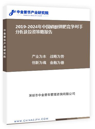 2019-2024年中国硝酸钾肥竞争对手分析及投资策略报告