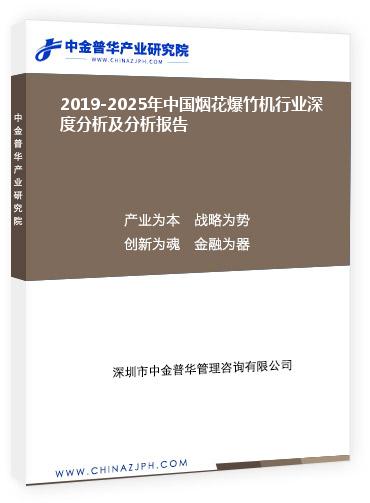 2019-2025年中国烟花爆竹机行业深度分析及分析报告