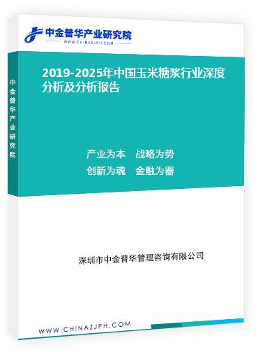 2019-2025年中国玉米糖浆行业深度分析及分析报告