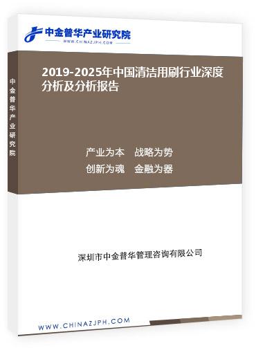 2019-2025年中国清洁用刷行业深度分析及分析报告