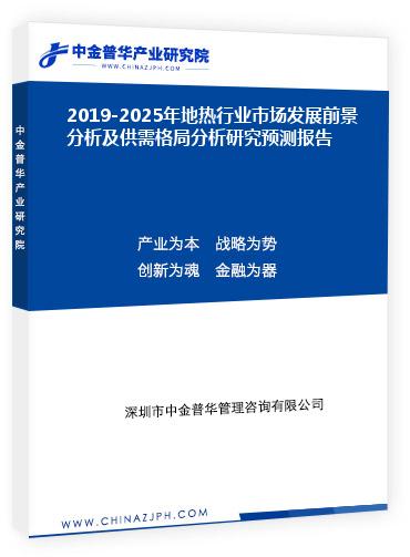 2019-2025年地热行业市场发展前景分析及供需格局分析研究预测报告