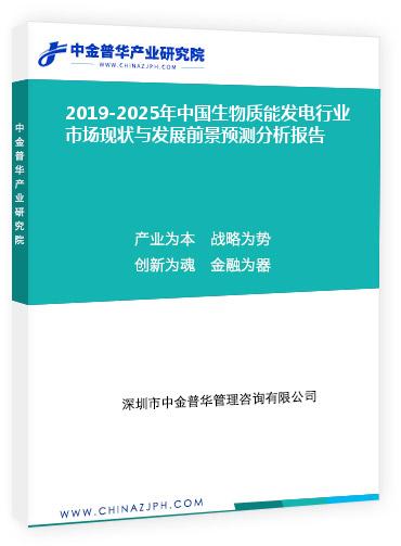 2019-2025年中国生物质能发电行业市场现状与发展前景预测分析报告