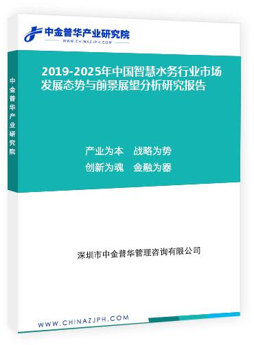 2019-2025年中国智慧水务行业市场发展态势与前景展望分析研究报告