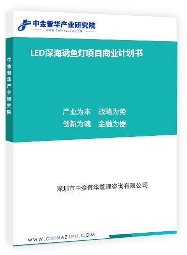 LED深海诱鱼灯项目商业计划书