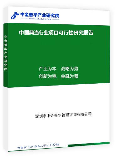 中国典当行业项目可行性研究报告